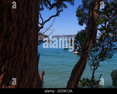 Vista del porto di Sydney e CDB su un bel cielo azzurro cielo azzurro mare limpido barche yacht e traghetto edifici residenziali e commerciali Australia Foto Stock