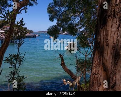 Vista del porto di Sydney e CDB su un bel cielo azzurro cielo azzurro mare limpido barche yacht e traghetto edifici residenziali e commerciali Australia Foto Stock