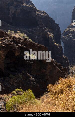 Formazioni rocciose nel Barranco di Masca, burrone vulcanico, gola, a piedi giù dal villaggio di montagna alla costa, Tenerife, Isole Canarie, Spagna Foto Stock