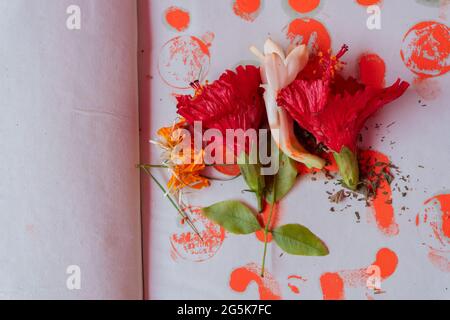 Nuovo libro di conti aperto per iniziare a scrivere nel nuovo anno, sono in adorazione il giorno di buon auspicio del nuovo anno bengalese, chiamato nabobarsho. Fiori di ibisco Foto Stock