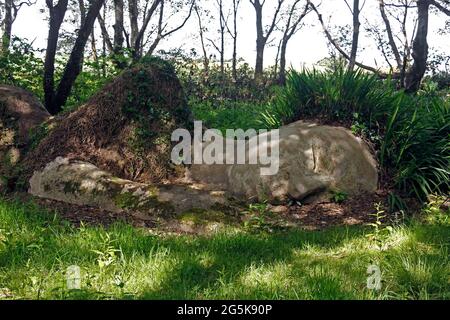 LA SCULTURA DELLA FANGIERA. GIARDINI PERDUTI DI HELIGAN. CORNOVAGLIA UK. Foto Stock