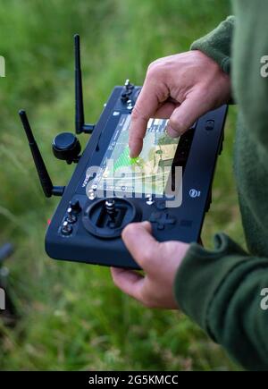 Magdeburgo, Germania. 17 Giugno 2021. Wilko Florstedt dell'associazione Wildtierretter Sachsen-Anhalt prepara il controllo remoto del suo drone per il salvataggio fawn. Insieme agli aiutanti volontari, il cacciatore ha già rintracciato 200 fiabe quest'anno e temporaneamente li ha bloccati in scatole in modo che i macchinari agricoli potessero poi iniziare a tagliare l'erba. Grazie all'impegno volontario dei soccorritori della fauna selvatica, i fawn sono stati in grado di sopravvivere. Credit: Stefano Nosini/dpa-Zentralbild/ZB/dpa/Alamy Live News Foto Stock