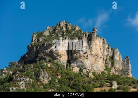 Rocce alla gola del Tarn vicino a le Rozier, Gorges du Tarn, Parc National des Cévennes, Cévennes National Park, Lozère, Languedoc-Roussillon, Occitanie, F Foto Stock