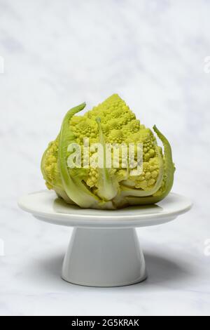 Cavolfiore Romanesco su un piatto decorativo Foto Stock