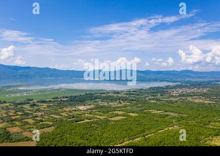 Aereo del lago Kerkini, Macedonia, Grecia, Europa Foto Stock