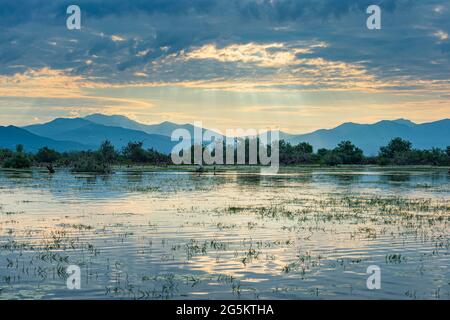 Alba sul lago Kerkini, Macedonia, Grecia, Europa Foto Stock