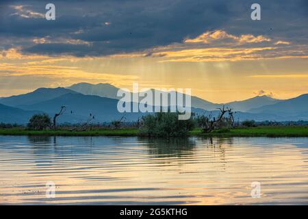 Alba sul lago Kerkini, Macedonia, Grecia, Europa Foto Stock