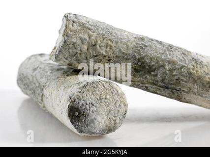 Sainte Maure de Touraine, formaggio francese a base di latte di capra Foto Stock