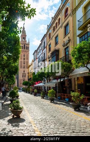 La Giralda torre della chiesa della Cattedrale di Siviglia, Calle Mateos Gago con ristoranti, Siviglia, Andalusia, Spagna, Europa Foto Stock