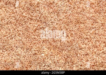 Cucinare pilaf in un calderone, una ricetta per il pilaf reale. Immergere il riso in un recipiente d'acqua prima di cuocere. Riso Devzira per pilaf. Cucina pilaf a casa Foto Stock