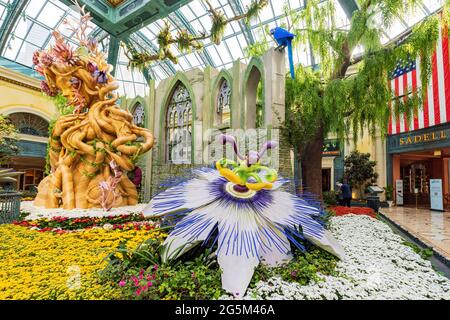 Las Vegas, 3 GIUGNO 2021 - tema estivo del Conservatorio e dei Giardini Botanici Bellagio Foto Stock