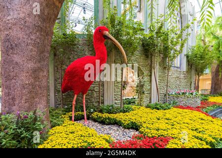 Las Vegas, 3 GIUGNO 2021 - tema estivo del Conservatorio e dei Giardini Botanici Bellagio Foto Stock