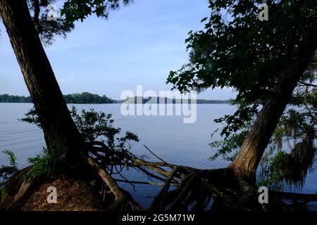 Area ricreativa di Indian Creek, Louisiana Foto Stock