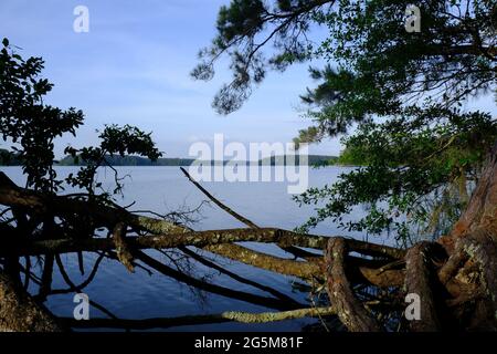 Area ricreativa di Indian Creek, Louisiana Foto Stock