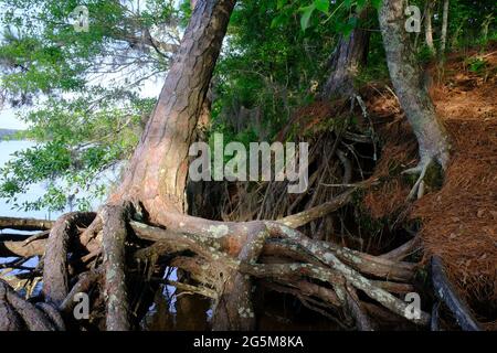 Area ricreativa di Indian Creek, Louisiana Foto Stock