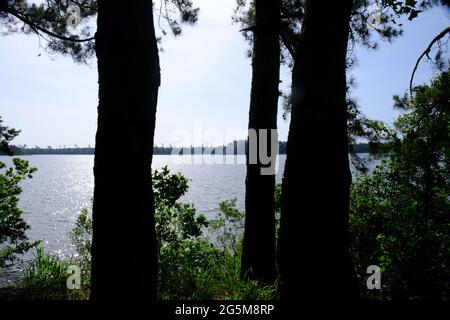 Area ricreativa di Indian Creek, Louisiana Foto Stock