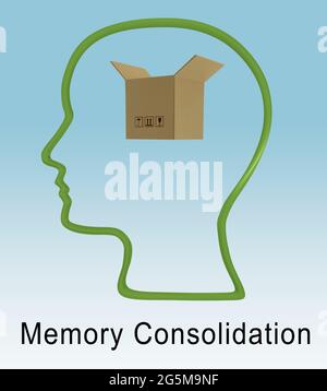 Illustrazione 3D dello script di consolidamento della memoria sotto una silhouette di testa contenente una memoria simbolica. Foto Stock