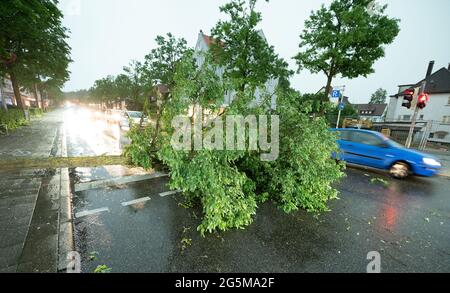 Stoccarda, Germania. 28 Giugno 2021. Un albero caduto dopo una pioggia pesante si trova su una strada a Stuttgart-Sillenbuch. Credit: Bernd Weißbrod/dpa/Alamy Live News Foto Stock