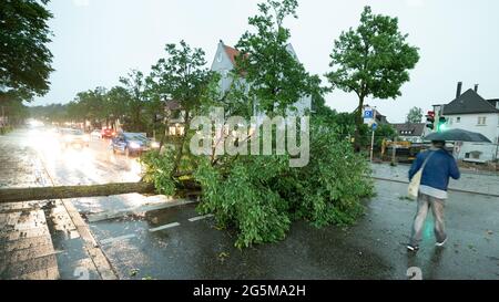 Stoccarda, Germania. 28 Giugno 2021. Un albero caduto dopo una pioggia pesante si trova su una strada a Stuttgart-Sillenbuch. Credit: Bernd Weissbrod/dpa/Alamy Live News Foto Stock