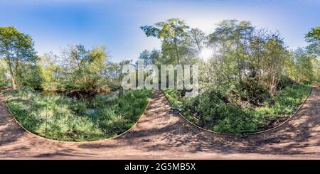 Visualizzazione panoramica a 360 gradi di Filby, Norfolk, Regno Unito – Giugno 2021. Panoramica completamente sferica senza giunture angolo di 360 gradi catturato nel bosco a Filby Broad