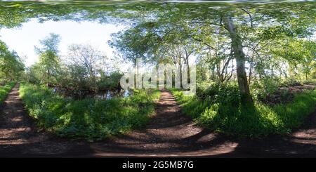 Visualizzazione panoramica a 360 gradi di Panorama sferico completo senza giunture angolo di 360 gradi del percorso attraverso il bosco per raggiungere la scena su Filby Broad nel Norfolk Broads Nat