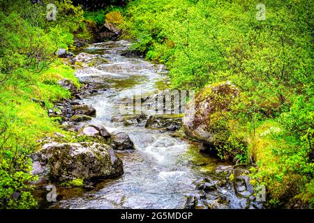 Fiume acqua corrente e rocce pietre vicino Hundafoss cascata Closeup vista a Skaftafell, Islanda con verde lussureggiante estate primavera paesaggio Foto Stock