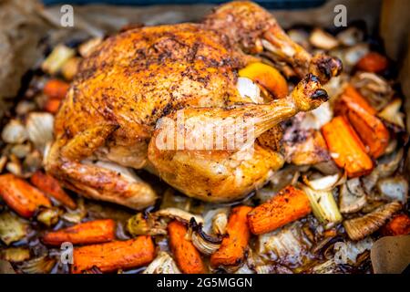 Arrosto di pollo cotto in oro intero piatto piano con vista in basso con carote di finocchio verdure e pepe nero condimento sulla pelle Foto Stock