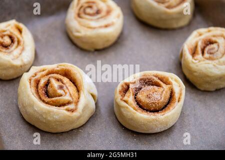 Impasto crudo per ciambelle di cannella roteato su carta pergamena per l'aumento e la cottura Foto Stock