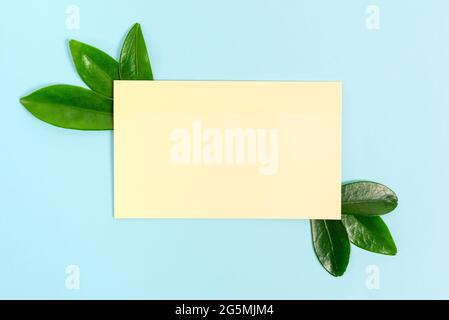 Tema natura Presentazione idee disegni, visualizzazione di materiali rinnovabili, creazione di prodotti sostenibili, materiali organici, progettazione giardinaggio pianificazione Foto Stock