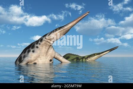 Rettile marino Hupehsuchus Foto Stock