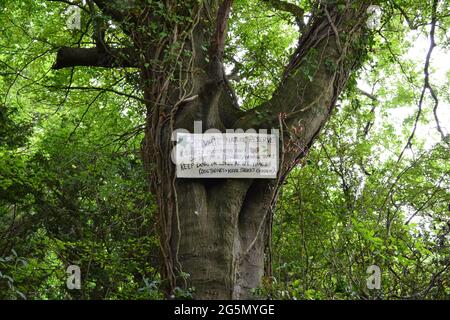 Segno che avvisa i proprietari dei cani dei ladri del cane e dei morsi del serpente sommatore su White Hill, Shoreham, Kent, Darent Valley, segni manoscritti Foto Stock