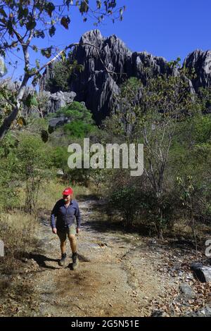 Escursionista in pista tra formazioni rocciose carsiche, Wakaman Country, Chillago-Mungalla National Park, Queensland, Australia. No MR Foto Stock