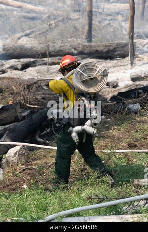 Un vigile del fuoco trasporta tubi flessibili per l'acqua per aiutare a spegnere un incendio nelle montagne di la SAL nello Utah. Foto Stock