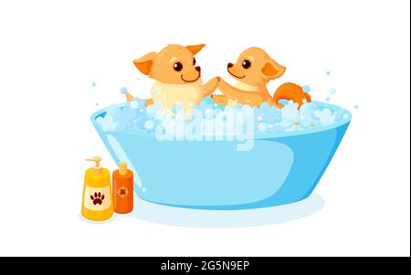 Cura del cane in una vasca da bagno con shampoo. Chihuahua in schiuma di sapone isolato su sfondo bianco. Illustrazione vettoriale in simpatico stile cartoon Illustrazione Vettoriale
