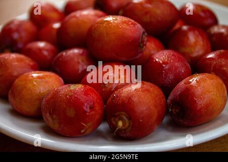 Date rosse isolate su una piastra in ceramica Foto Stock