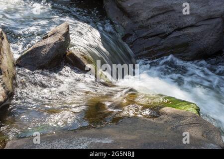 Acqua di montagna scorre tra pietre Foto Stock