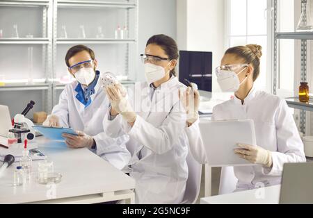 Gruppo di scienziati che discute i risultati degli esperimenti chimici lavorando in laboratorio Foto Stock