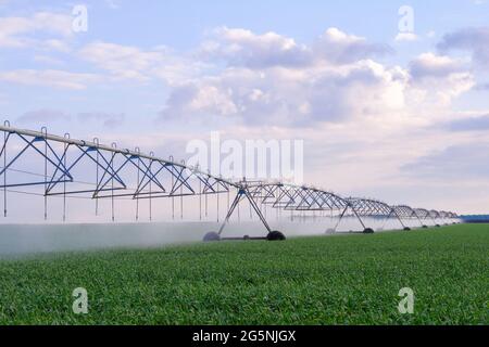 Automatico Il sistema di irrigazione Foto Stock