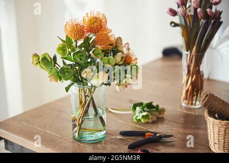 Helleboro e leucospermum fioriscono con tulipani viola pallido sullo sfondo Foto Stock