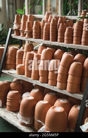 Immagine di un gran numero di pentole in ceramica sulle mensole del negozio di fiori Foto Stock