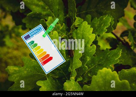 Concetto di efficienza energetica con tabella di valutazione dell'energia fissata su un albero Foto Stock