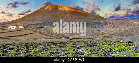 Paesaggio panoramico con vigneti vulcanici. Lanzarote. Isole Canarie. Spagna.la Geria vigneto su suolo vulcanico nero. Foto Stock