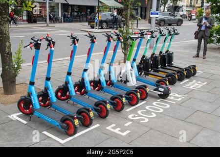 Panoramica generale degli e-Scooter gestiti da Dott, Lime e TIER presso un punto di noleggio e-Scooter a Kensington, West London Data immagine: Martedì 29 giugno 2021. Foto Stock