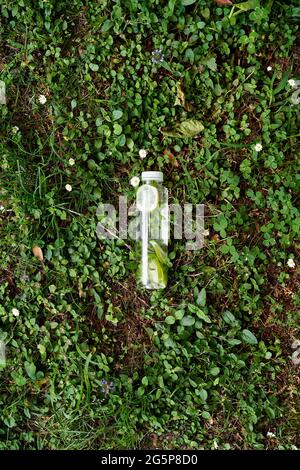 Bottiglia d'acqua si trova sull'erba verde tra i fiori selvatici Foto Stock