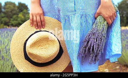 Giovane donna un cappello con un bouquet di lavanda in campo. Video di stock Lavanda in Provenza, Francia. Fioritura Violet fragrante lavanda flowers.Growing Lavanda ondeggiante sul vento, raccolto Foto Stock