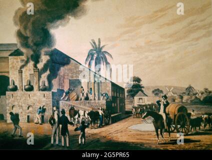 Bettys Hope Antigua Sugar Mill schiavi - 19 secolo di zucchero bollente Pittura nel Bettys Hope Museum Foto Stock