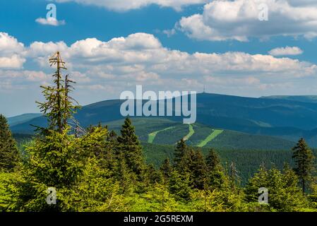 Piste da sci su Cervenohorske sedlo e Praded collina da Spaleny vrch cima collina in Jeseniky montagne nella repubblica Ceca durante il bel pomeriggio wit Foto Stock