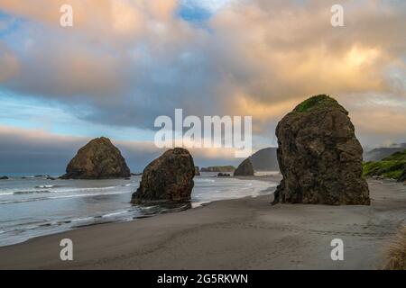 Stati Uniti, Pacifico nord-occidentale, Oregon, Costa meridionale, Foto Stock