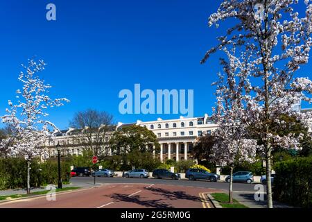 Inghilterra, Londra, Regent's Park, Chester Road e Chester Terrace con Cherry Blossom Tress a Bloom Foto Stock