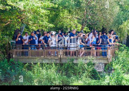 IGUAZU, ARGENTINA - 6 FEBBRAIO 2015: I turisti ammirano le cascate di Iguacu (Iguazu) su un confine tra Brasile e Argentina Foto Stock